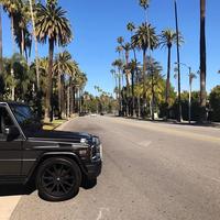 Отзыв от Вадим - виза ДТВ